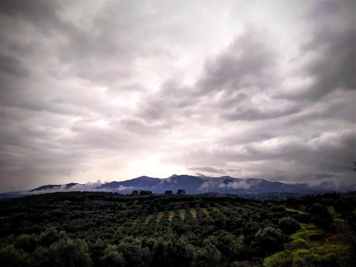 Suite Of Light Rooms Πέραμα Εξωτερικό φωτογραφία